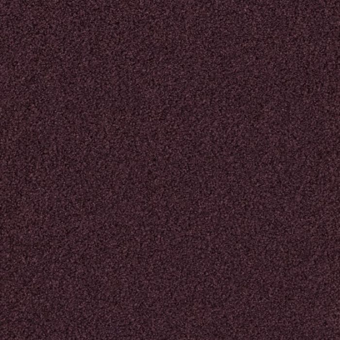Cello - 151